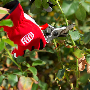 Felco 100