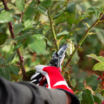 Load image into Gallery viewer, Felco 100

