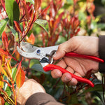 Load image into Gallery viewer, Felco - 4
