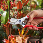 Load image into Gallery viewer, Felco - 4
