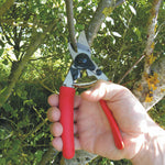 Load image into Gallery viewer, Felco 12
