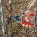 Load image into Gallery viewer, Felco 12
