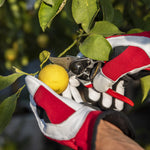 Load image into Gallery viewer, Felco 702 - Gloves
