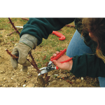 Load image into Gallery viewer, Felco 10

