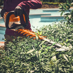 Load image into Gallery viewer, STIHL HSA 140 R Battery Hedge Trimmer (no Battery &amp; Charger)
