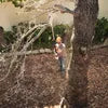Load image into Gallery viewer, STIHL HTA 50 Battery Pole Chainsaw Tool (No Battery &amp; Charger)
