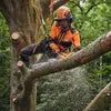 Load image into Gallery viewer, STIHL MSA 220 T Battery Chainsaw Tool 12&quot; (No Battery &amp; Charger)
